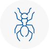Ant Removals In Walton On The Naze