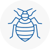 Bed Bug Extermination In Walton On The Naze