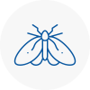 Moth Control Specialists In Walton On The Naze